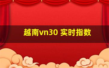 越南vn30 实时指数